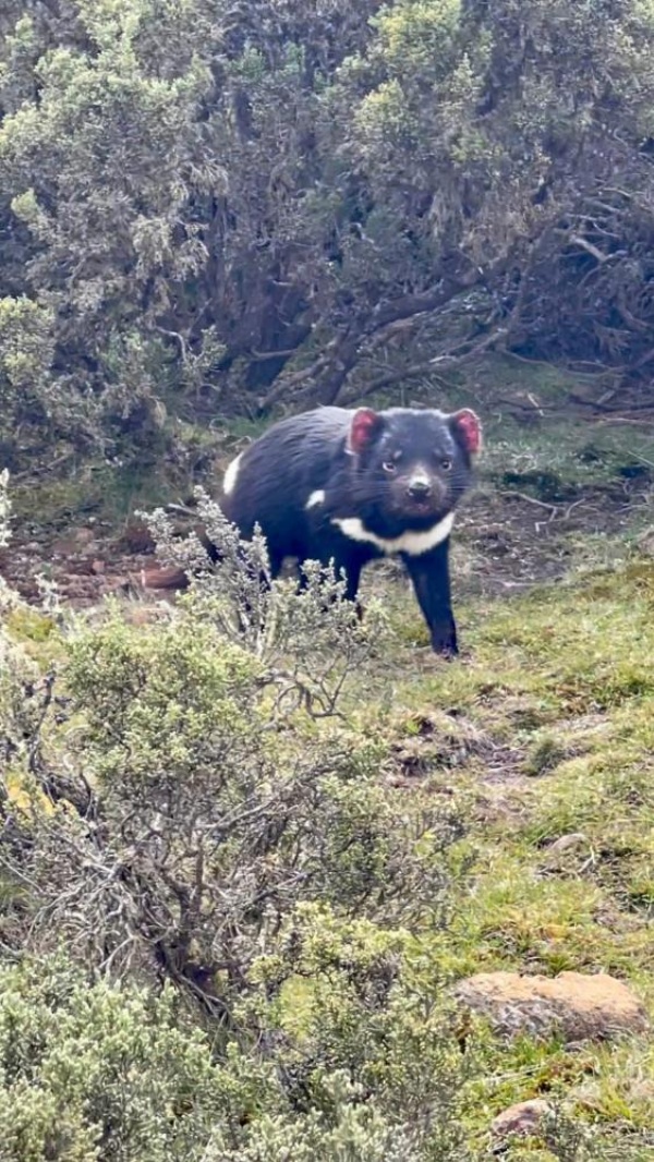 Thousand Lakes Lodge image 5